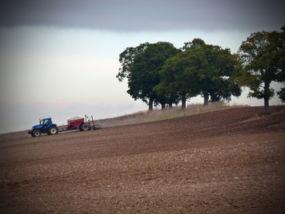 Jack Cookson, Society6