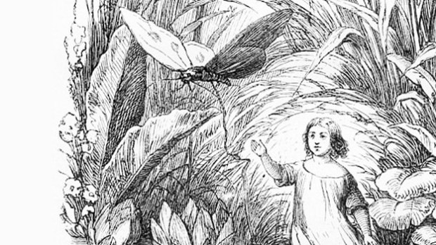 183943.daeumelinchen