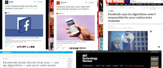 n-ZEYNEP-TUFEKCI-FB-large570