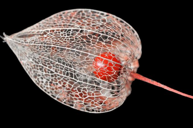 innere-werte-36c30df5-c895-4636-b7d9-0cb87fb6dfef