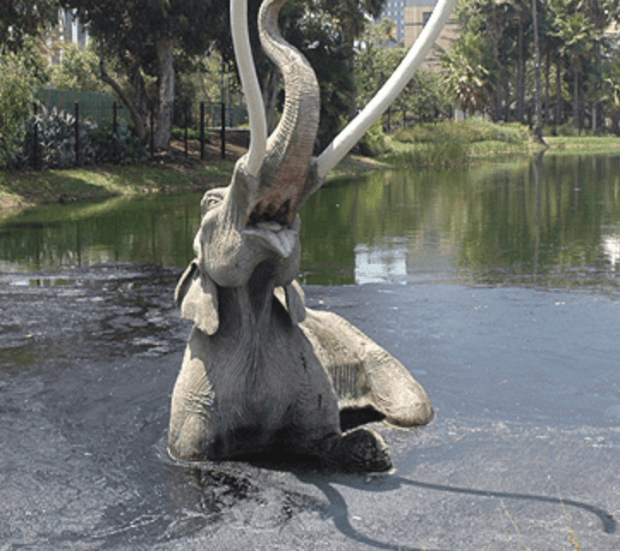 Bildschirmfoto 2020-01-28 um 13.49.22.png