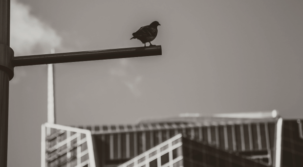 Bildschirmfoto 2020-05-04 um 17.48.55.png